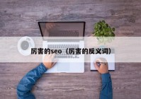 厉害的seo（厉害的反义词）