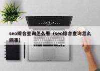 seo综合查询怎么看（seo综合查询怎么回事）