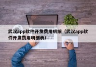 武汉app软件开发费用明细（武汉app软件开发费用明细表）