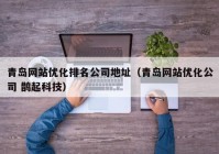 青岛网站优化排名公司地址（青岛网站优化公司 鹊起科技）