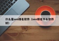 什么是seo排名软件（seo排名什么软件好）