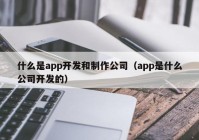 什么是app开发和制作公司（app是什么公司开发的）