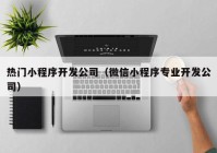 热门小程序开发公司（微信小程序专业开发公司）