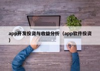 app开发投资与收益分析（app软件投资）