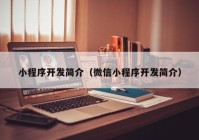 小程序开发简介（微信小程序开发简介）