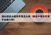 湖北微信小程序开发怎么样（微信小程序开发平台哪个好）