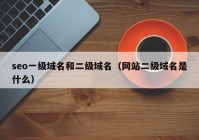 seo一级域名和二级域名（网站二级域名是什么）