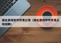 湖北游戏软件开发公司（湖北游戏软件开发公司招聘）