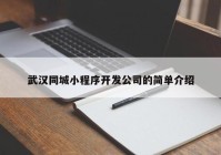 武汉同城小程序开发公司的简单介绍