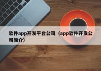 软件app开发平台公司（app软件开发公司简介）