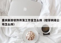 重庆新芽软件开发工作室怎么样（橙芽网络公司怎么样）