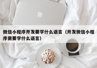 微信小程序开发要学什么语言（开发微信小程序需要学什么语言）