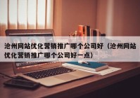 沧州网站优化营销推广哪个公司好（沧州网站优化营销推广哪个公司好一点）