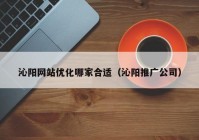 沁阳网站优化哪家合适（沁阳推广公司）