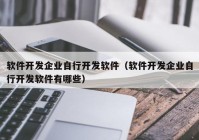 软件开发企业自行开发软件（软件开发企业自行开发软件有哪些）