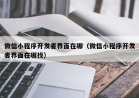 微信小程序开发者界面在哪（微信小程序开发者界面在哪找）