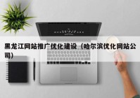 黑龙江网站推广优化建设（哈尔滨优化网站公司）