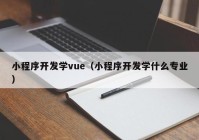 小程序开发学vue（小程序开发学什么专业）