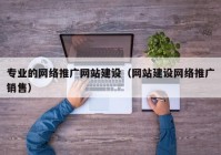 专业的网络推广网站建设（网站建设网络推广销售）