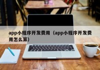 app小程序开发费用（app小程序开发费用怎么算）