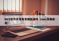 MES软件开发有发展前途吗（mes发展前景）