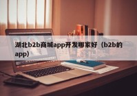 湖北b2b商城app开发哪家好（b2b的app）