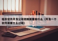 程序软件开发公司初期需要做什么（开发一个软件需要什么过程）