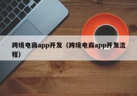 跨境电商app开发（跨境电商app开发流程）