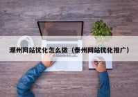 潮州网站优化怎么做（泰州网站优化推广）