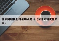 北辰网站优化排名联系电话（河北网站优化公司）