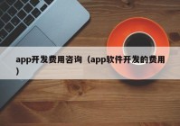 app开发费用咨询（app软件开发的费用）