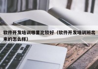 软件开发培训哪里比较好（软件开发培训班出来的怎么样）