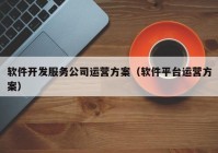 软件开发服务公司运营方案（软件平台运营方案）