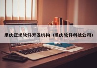 重庆正规软件开发机构（重庆软件科技公司）